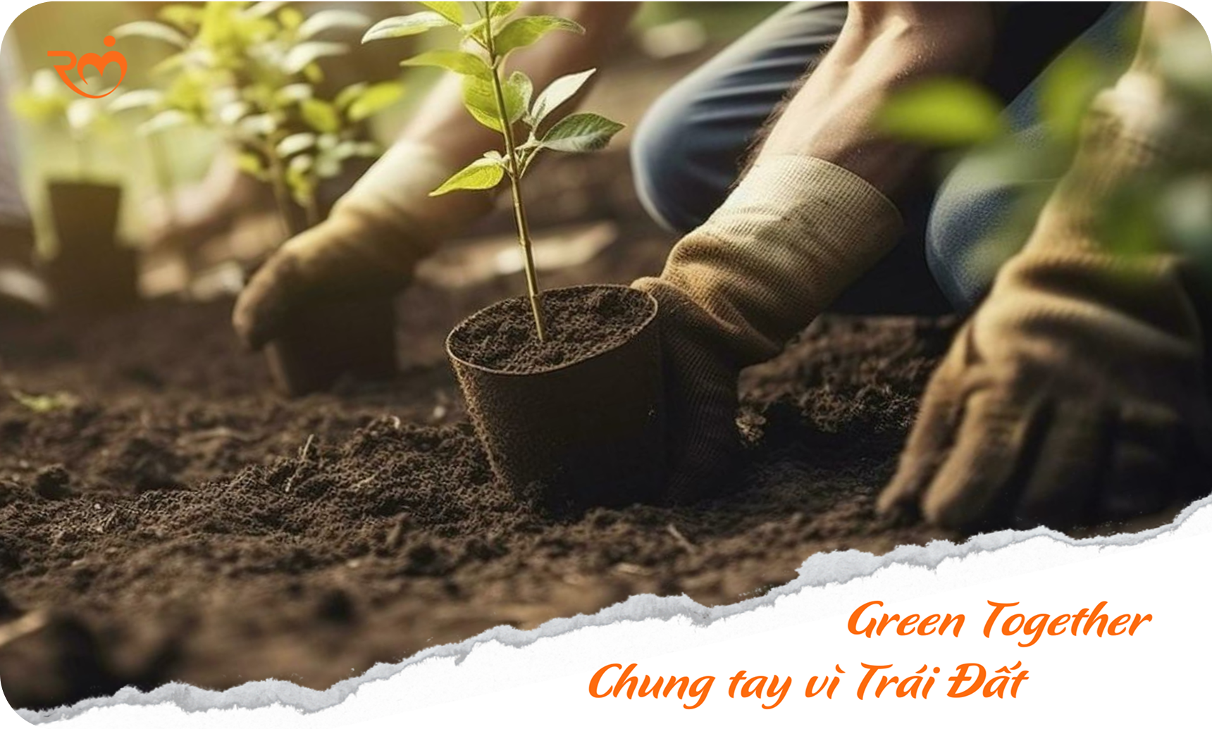 Trang Chủ 33 Card 04