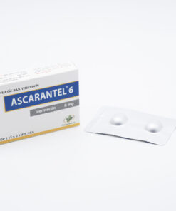 ASCARANTEL6 11 DSC04360 1 scaled