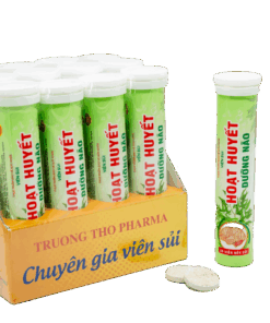VIÊN SỦI HOẠT HUYẾT DƯỠNG NÃO 10 DSC05076 scaled